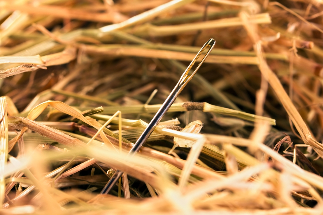 Needle in a haystack